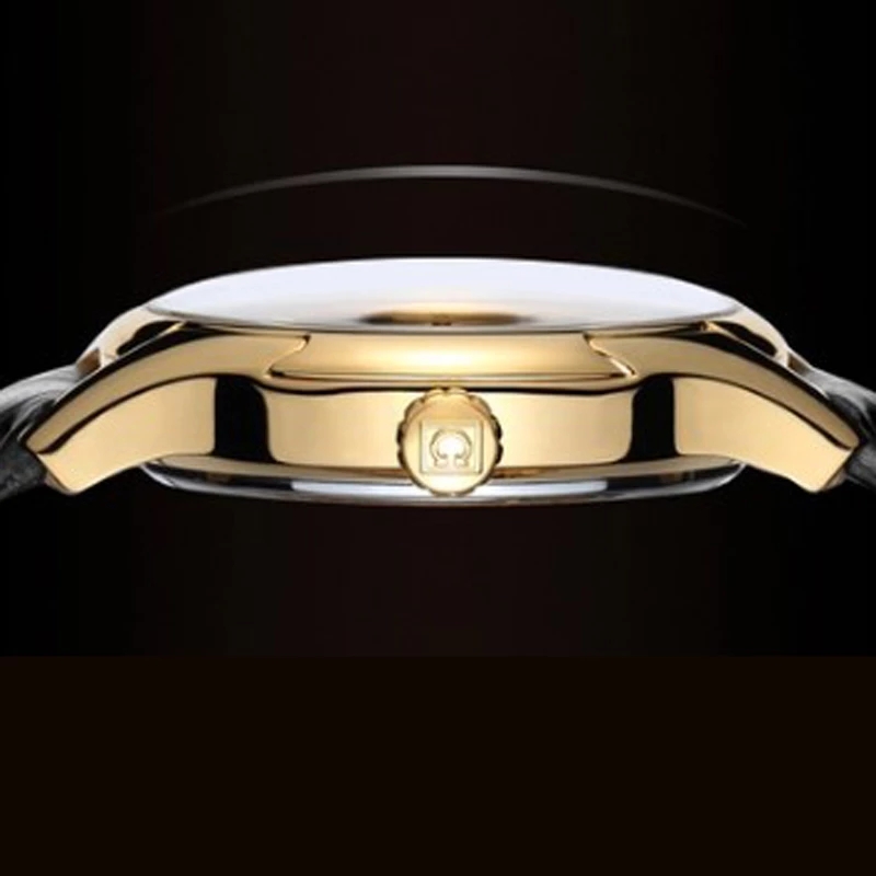 كرنفال العلامة التجارية الساعا - مراجعة Automatic Watch Winder وسعره